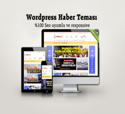 WordPress Haber Teması